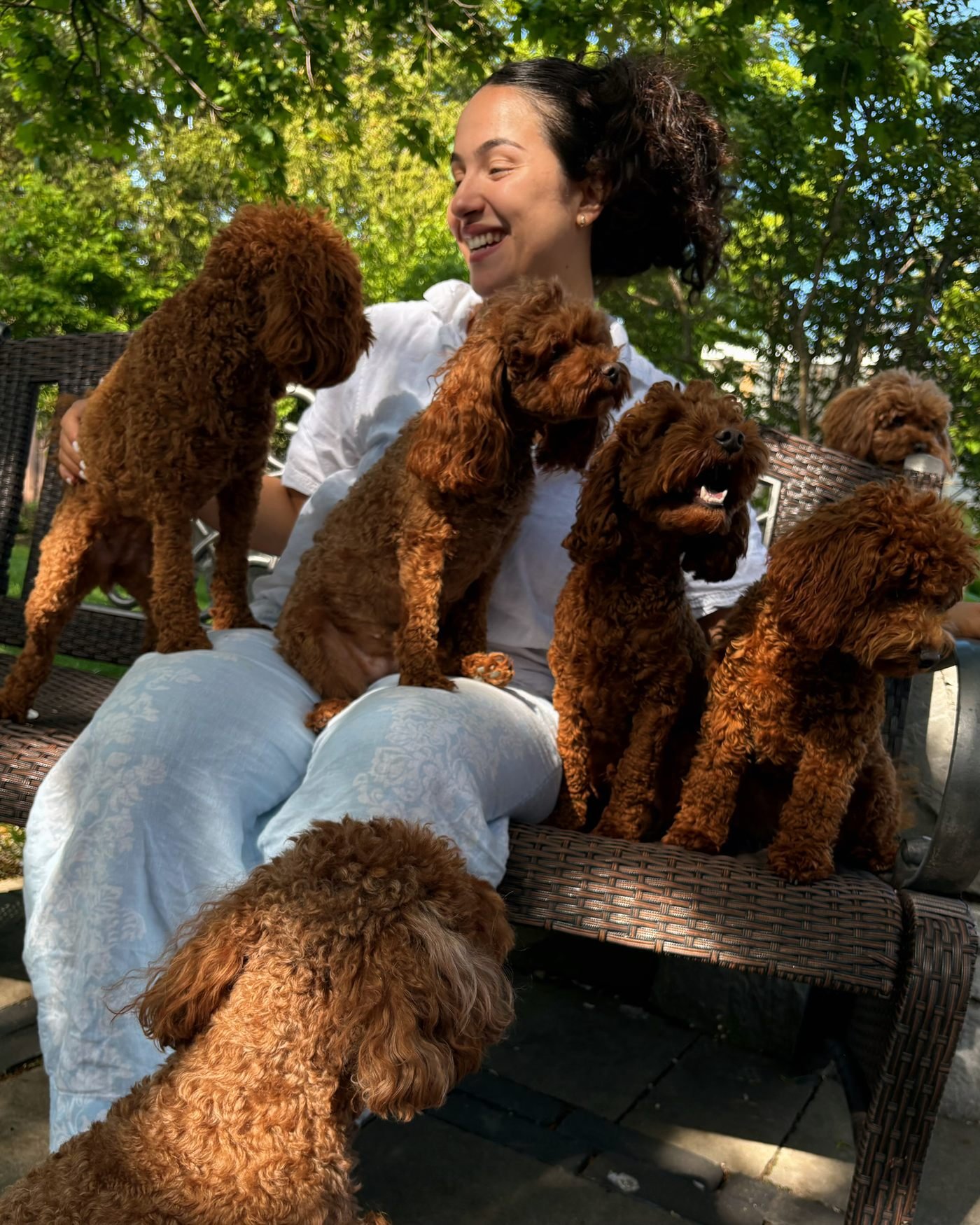 A teacher on a bench surrounded by the studio’s red toy poodles